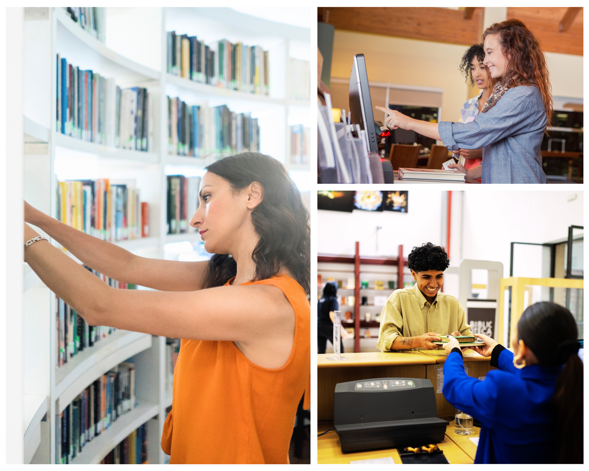 Verschiedene Tätigkeiten in der Bibliothek